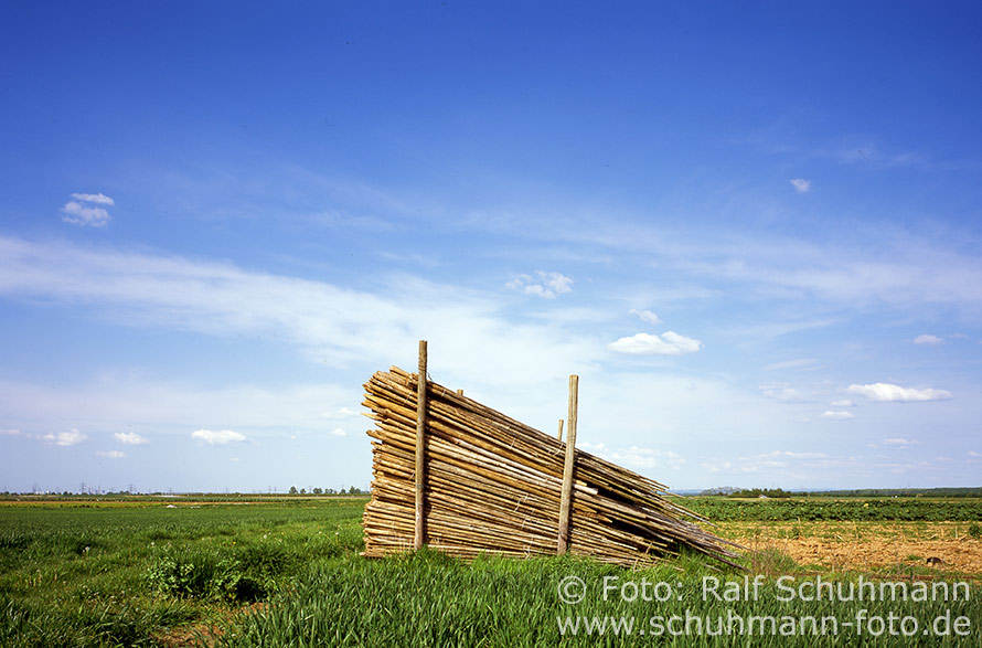 Landmarken